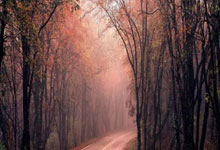 郑钦文取得武网首胜 晋级16强.