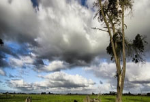 海博体育：阿斯：姆巴佩需決定是否參加奧運會，因賽程與皇馬美國季前賽衝突！.