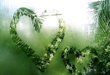 海博体育：[亚冬会]高山滑雪——持续登攀 任重道远.